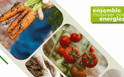 Compte rendu Veillée des Sobriétaires – Réussir mon jardin familial 20.06.2025