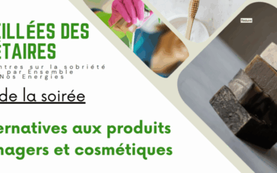 CR Veillée des Sobriétaires – Alternatives aux produits ménagers et cosmétiques 19.09.2025