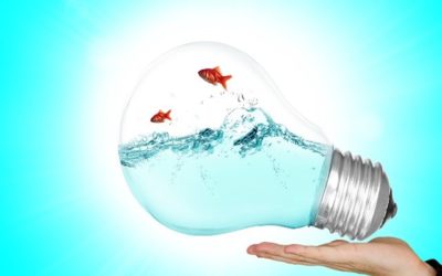 Compte Rendu – Réunion Prospective du 22.05.2025