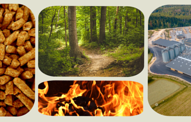 Veillée des Sobriétaires – La filière pellet en Bourgogne Franche-Comté 14.02.2025